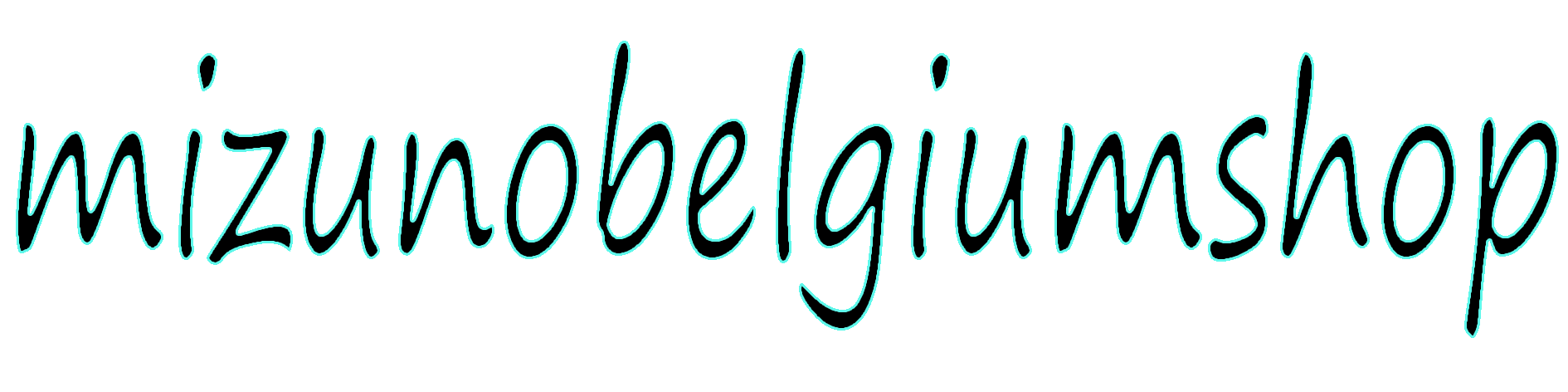 Mizunobelgiumshop